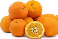 bitter orange