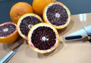 blood orange