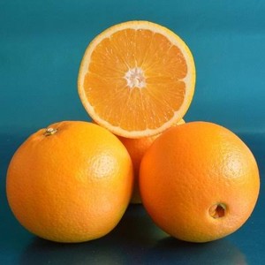 navel orange
