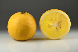 bergamia orange